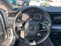 Skoda Octavia 4x4 Ambition TDI DSG Silber - thumbnail 11