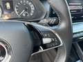 Skoda Octavia 4x4 Ambition TDI DSG Silber - thumbnail 13