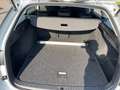Skoda Octavia 4x4 Ambition TDI DSG Silber - thumbnail 20