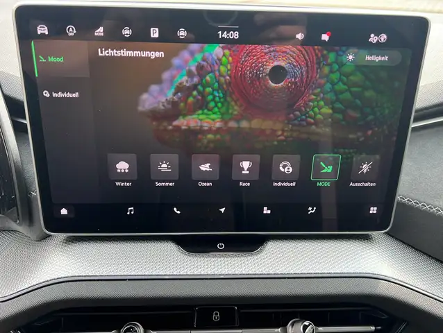 Skoda Kodiaq view 11