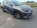 Lexus NX 300h NX 300h Executive Line Grau - thumbnail 11