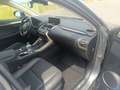Lexus NX 300h NX 300h Executive Line Grau - thumbnail 17