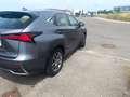 Lexus NX 300h NX 300h Executive Line Grau - thumbnail 21