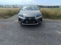 Lexus NX 300h NX 300h Executive Line Grau - thumbnail 1