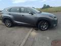 Lexus NX 300h NX 300h Executive Line Grau - thumbnail 13
