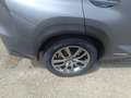Lexus NX 300h NX 300h Executive Line Grau - thumbnail 20