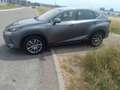 Lexus NX 300h NX 300h Executive Line Grau - thumbnail 9