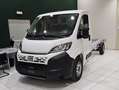 Fiat Ducato l4h1 35q 2.2 140cv cabinato Bianco - thumbnail 1