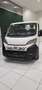 Fiat Ducato l4h1 35q 2.2 140cv cabinato Bianco - thumbnail 4
