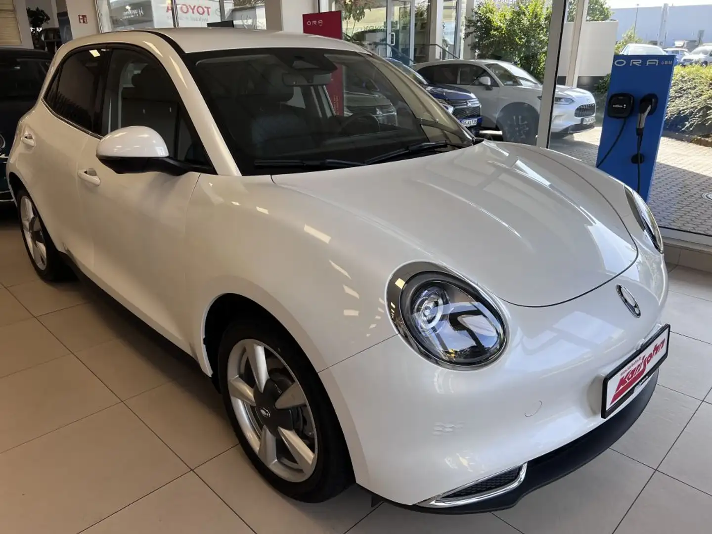 Ora Funky Cat 300 Pro Beyaz - 2