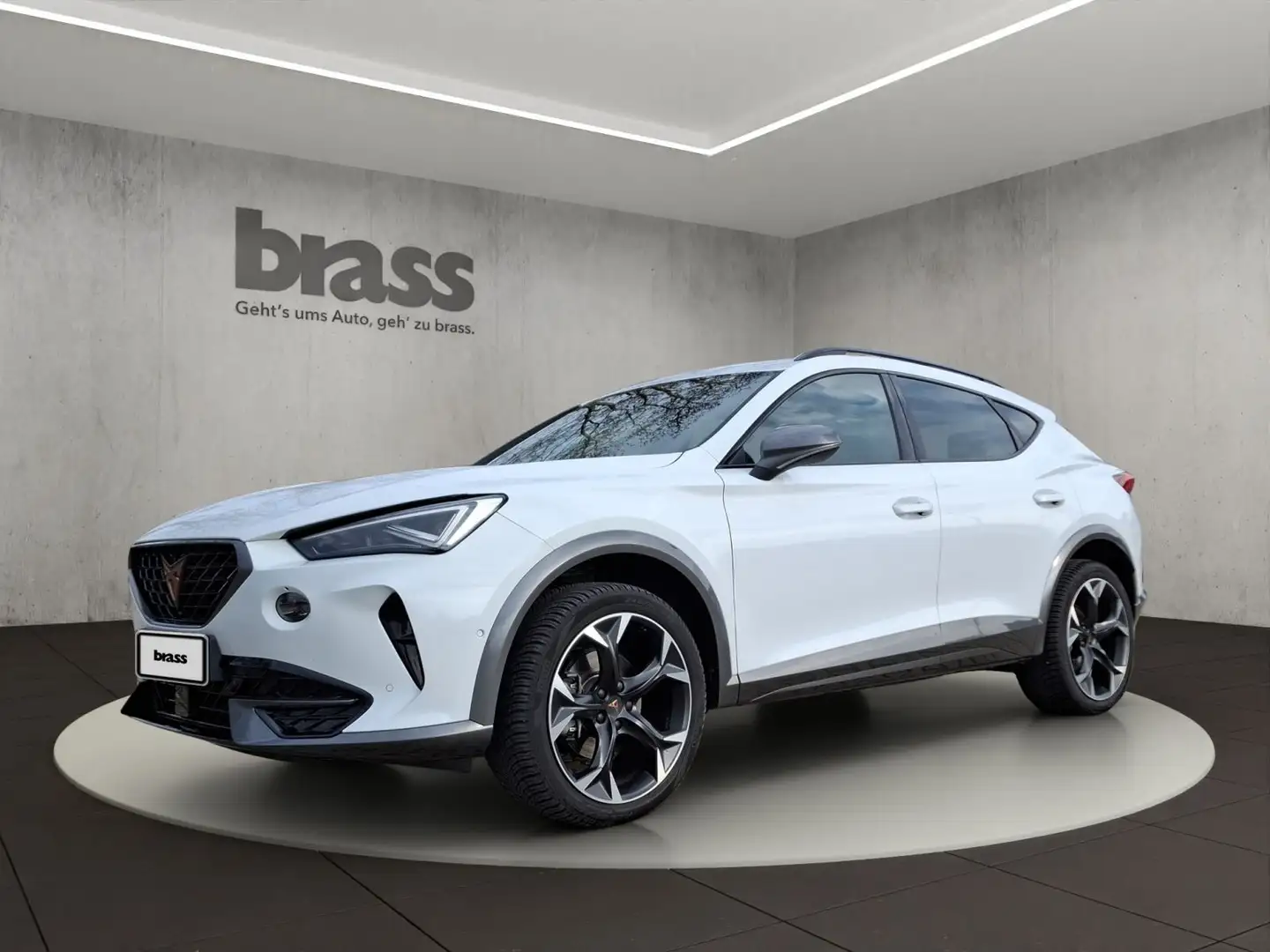CUPRA Formentor Basis 1.5 TSI OPF Weiß - 1