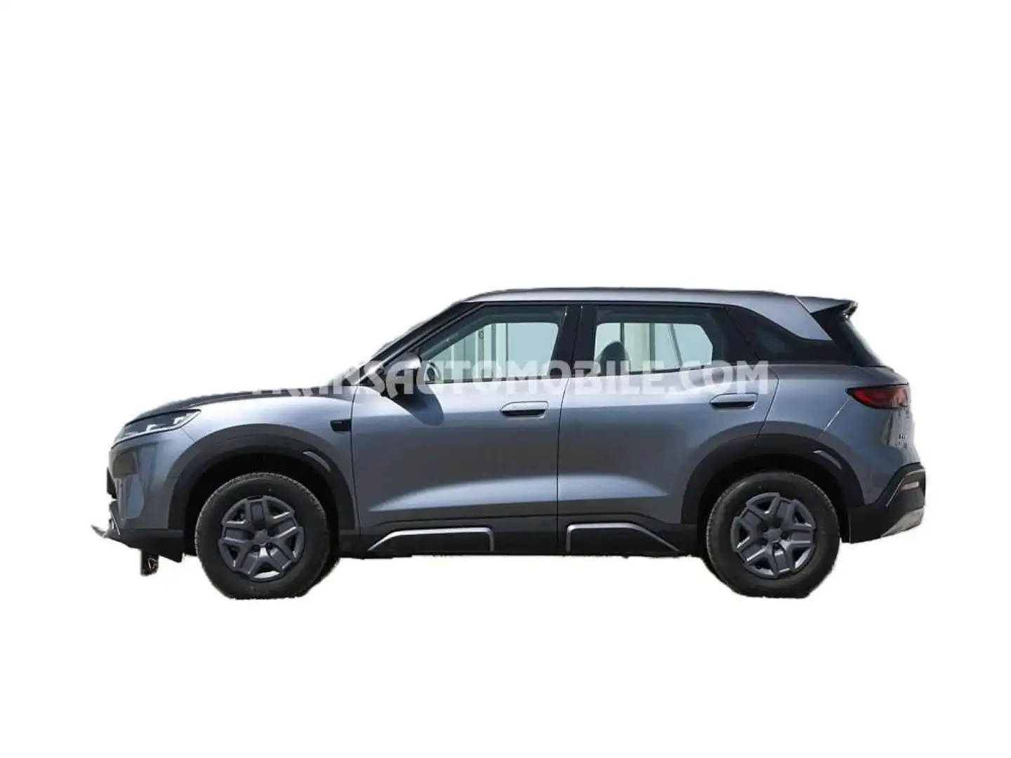 BYD VITALITY 401 Km Gris - 2