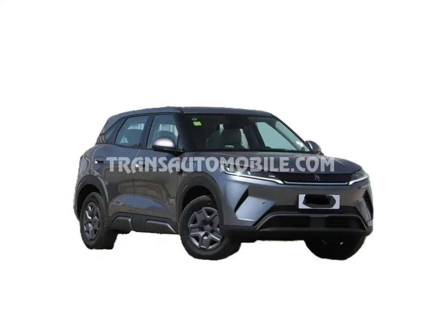 BYD VITALITY 401 Km Gris - 1