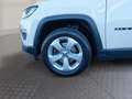 Jeep Compass Allrad Diesel 2,0 MultiJet 140 Longitude Weiß - thumbnail 13