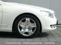 Mercedes-Benz CL 500 mit Night-Vision+Kamera+Schiebedach!! Biały - thumbnail 8