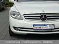 Mercedes-Benz CL 500 mit Night-Vision+Kamera+Schiebedach!! Blanco - thumbnail 20