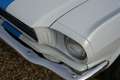 Ford Mustang 289 V8 Fastback PRICE REDUCTION! "Bare metall" res Alb - thumbnail 16