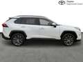 Toyota RAV 4 Dynamic Plus Bianco - thumbnail 14