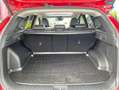 Hyundai TUCSON 1.6 T-GDi 230ch Hybrid Executive BVA6 Rouge - thumbnail 14