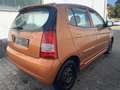 Kia Picanto Picanto 1.1 Cool Klima/Sitzheizung/TÜV 03-2027 Bronze - thumbnail 3