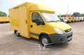 Iveco Daily 35 S C30CE A/P PZF Original Iveco Elektro Gelb - thumbnail 1