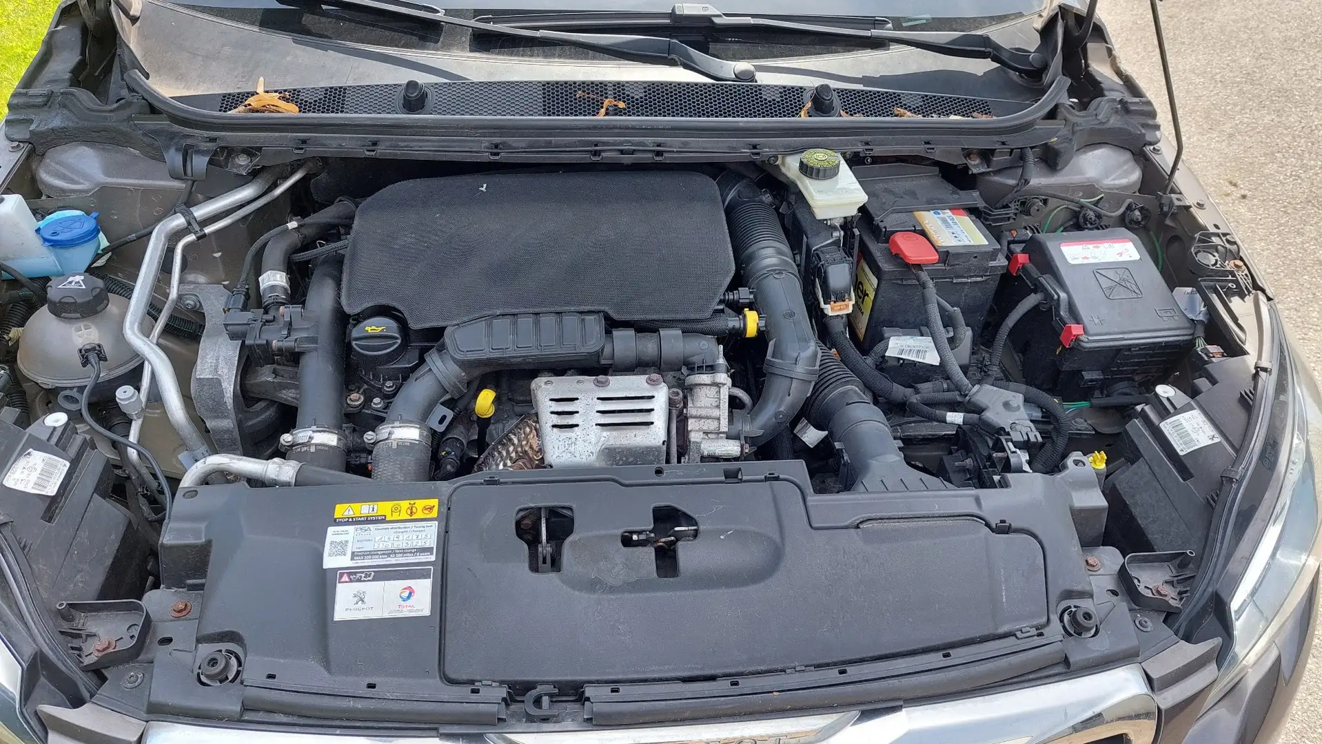 Peugeot 308 SW 1,2 PureTech Active S&S 17" - 1