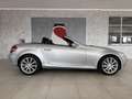 Mercedes-Benz SLK 350 SLK 350 V6- Cambio MANUALE -Iscritta ASI Plateado - thumbnail 5