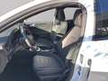 Ford Focus ST-Line X / Panoramadach / Fahrer-Assistenz-Paket Blanc - thumbnail 9