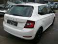 Skoda Fabia *6Gang*Klima*Navi*PDC*Euro6*Top* Weiß - thumbnail 5