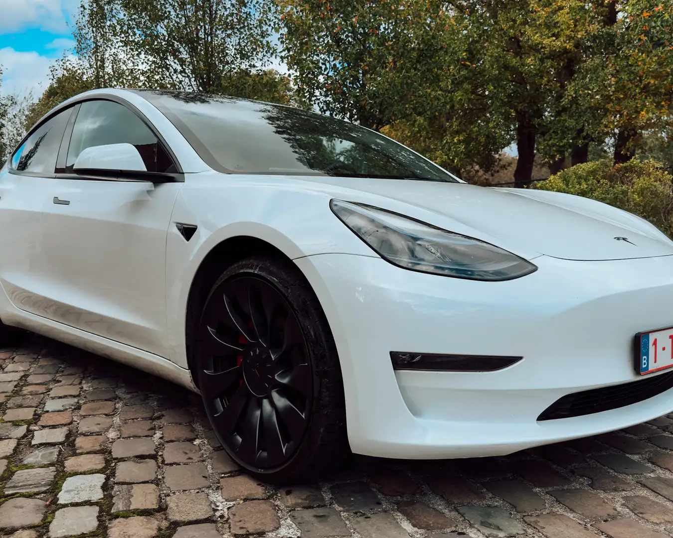 Tesla Model 3 Model 3 Long Range Dual Motor AWD Wit - 2