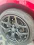 Alfa Romeo Giulia Giulia 2.0 Turbo 16V AT8 Super Rood - thumbnail 13