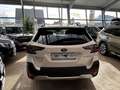 Subaru OUTBACK Outback Platinum Weiß - thumbnail 4