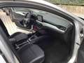 Ford Focus SW 1.5 ecoblue Business s&s 120cv Gris - thumbnail 3