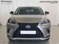 Lexus NX 300 300h Premium 2WD Grau - thumbnail 2