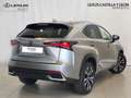Lexus NX 300 300h Premium 2WD Grau - thumbnail 4