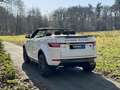 Land Rover Range Rover Evoque Convertible Si4 HSE Dynamic Bianco - thumbnail 9