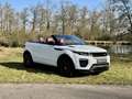 Land Rover Range Rover Evoque Convertible Si4 HSE Dynamic Bianco - thumbnail 12