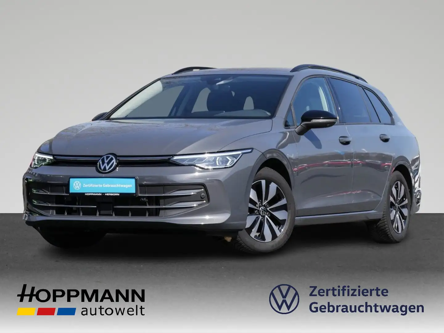 Volkswagen Golf Variant Golf VIII Variant 2.0 TDI GOAL AHK KAMERA NAVI I Grau - 1