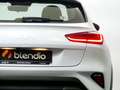 Kia XCeed 1.5 MHEV 103KW DRIVE DCT 140CV 5P Weiß - thumbnail 12
