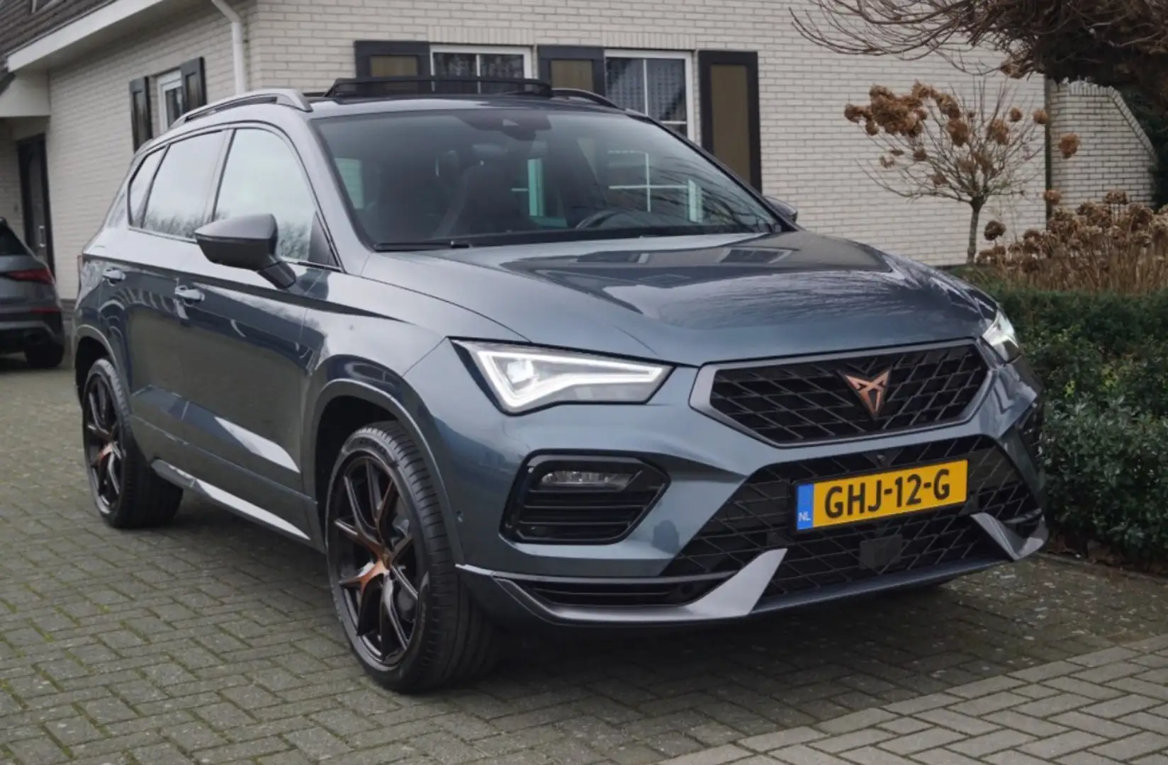 SEAT Ateca Cupra Ateca 2.0 TSI 4DRIVE Limited Edition Grau - 1