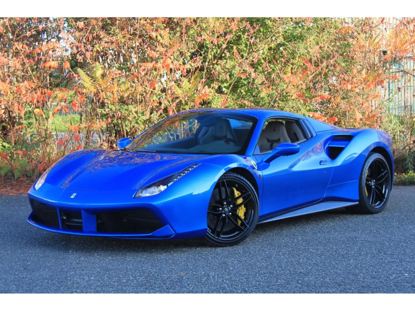 Ferrari 488 Spider | BLU CORSA | TORTORA | CARBON | LIFT Blu/Azzurro - 2