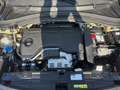 Opel Frontera 1.2 DI MHEV Edition Aut. Grün - thumbnail 19