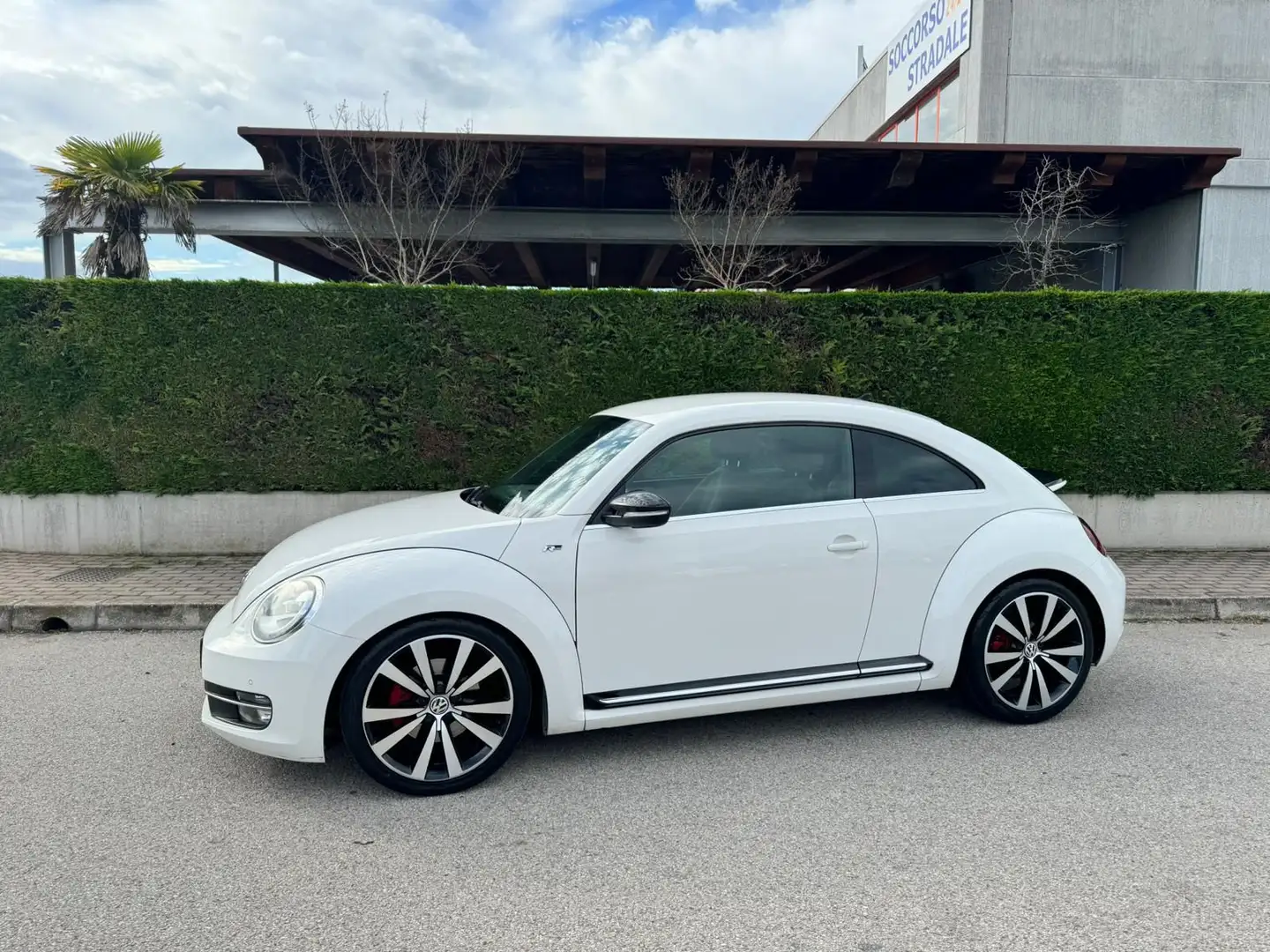 Volkswagen Maggiolino Maggiolino 2.0 tsi Sport dsg Bianco - 1