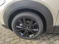 Mazda CX-30 2.5L e-SKYACTIV G 140ps Homura Beige - thumbnail 9