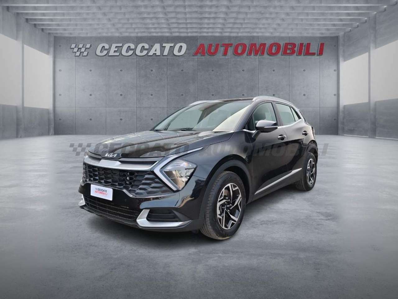 Kia Sportage Sportage 1.6 crdi mhev Business dct