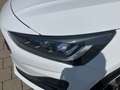 Ford Focus Turnier 1.0i Automatik Titanium Top Ausstattung Bianco - thumbnail 5