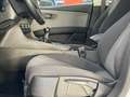 SEAT Leon 1.6TDI CR S&S Style 115 Bianco - thumbnail 13