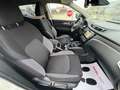Nissan Qashqai Neues Modell / FACELIFT Weiß - thumbnail 11