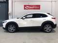 Mazda CX-30 2.0 Skyactiv-G Zenith 2WD Aut. 90kW Blanco - thumbnail 4