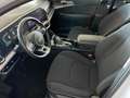 Kia Sportage 1.6 CRDi 136 CV MHEV DCT Business Bianco - thumbnail 7